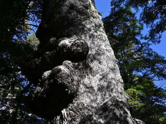 Ermitaño Expediciones-普孔必去景点
