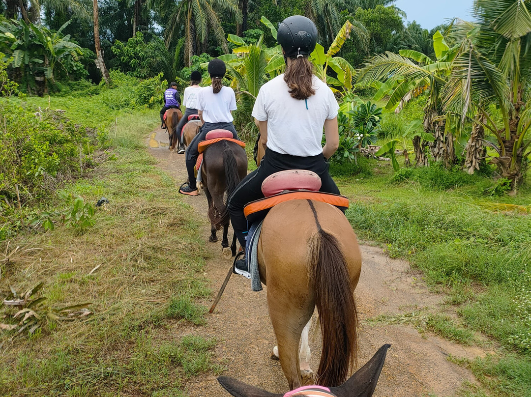 Krabi Nature Horse Riding-奥南必去景点