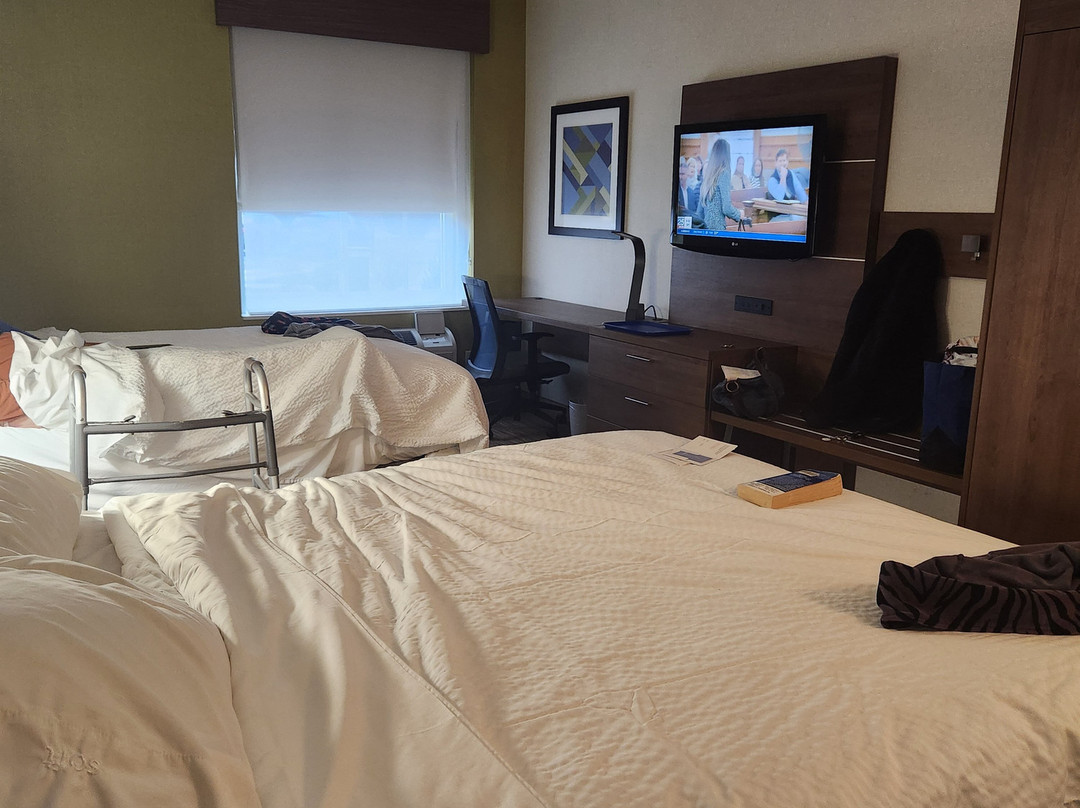 Holiday Inn Express Chelmsford by IHG主图