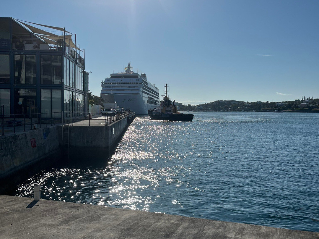 Sea Express Ferry Service-汉密尔顿必去景点