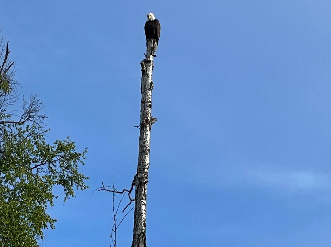 Deshka Landing Charters & Lodge主图