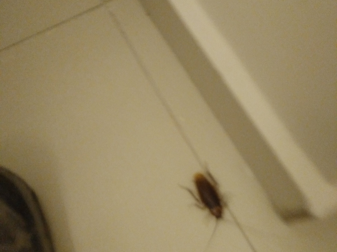 Gallery Suites & Residences Piraeus主图