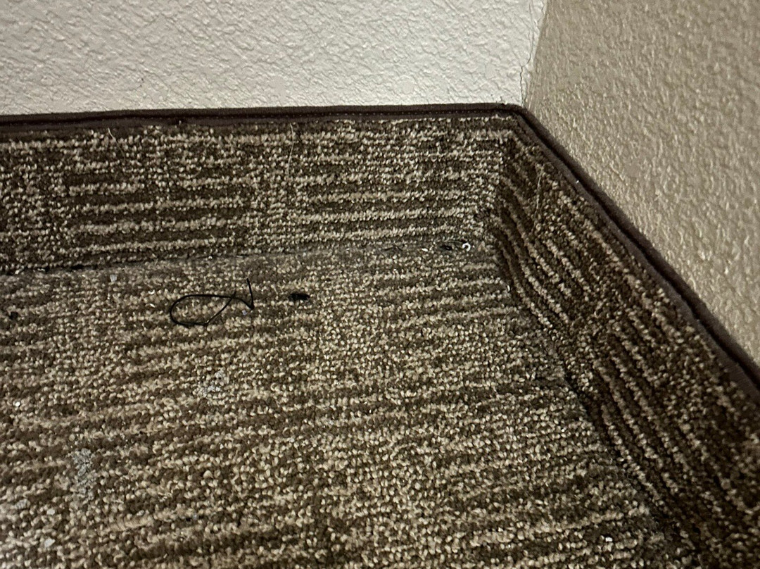 Comfort Suites Gainesville主图