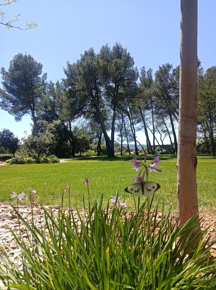 Domaine de la Pierre Blanche-浴室
