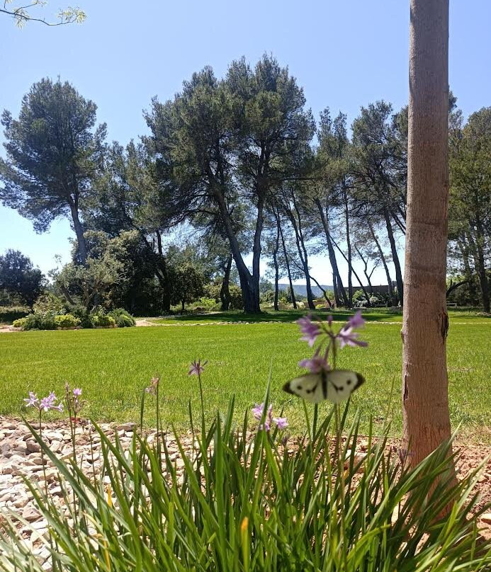 Domaine de la Pierre Blanche主图