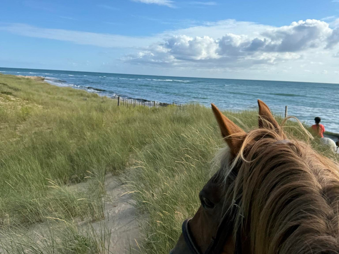 Les Petites Ecuries du Marais-Ars-en-Re必去景点