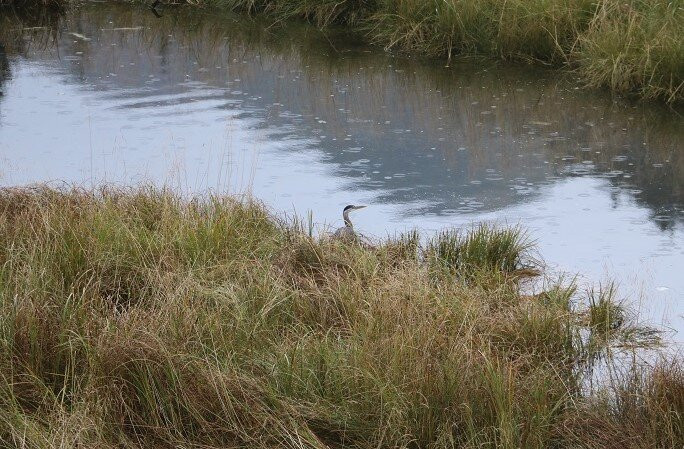 Starrigavan Recreation Area-锡特卡必去景点