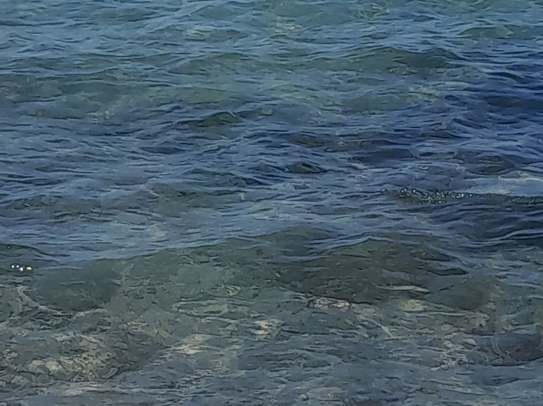 Lido Solero景点图片