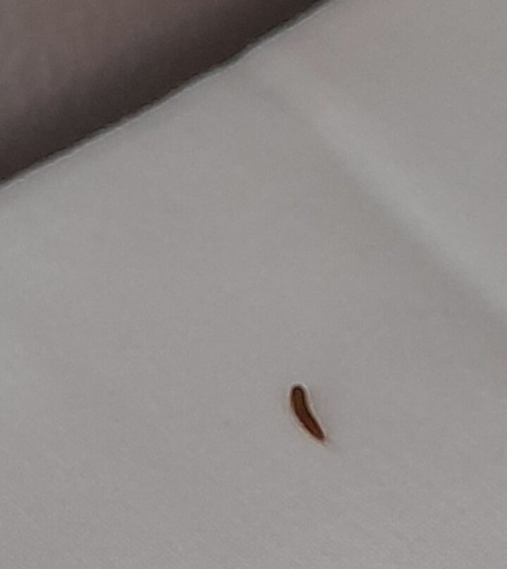 欧洲公寓酒店主图