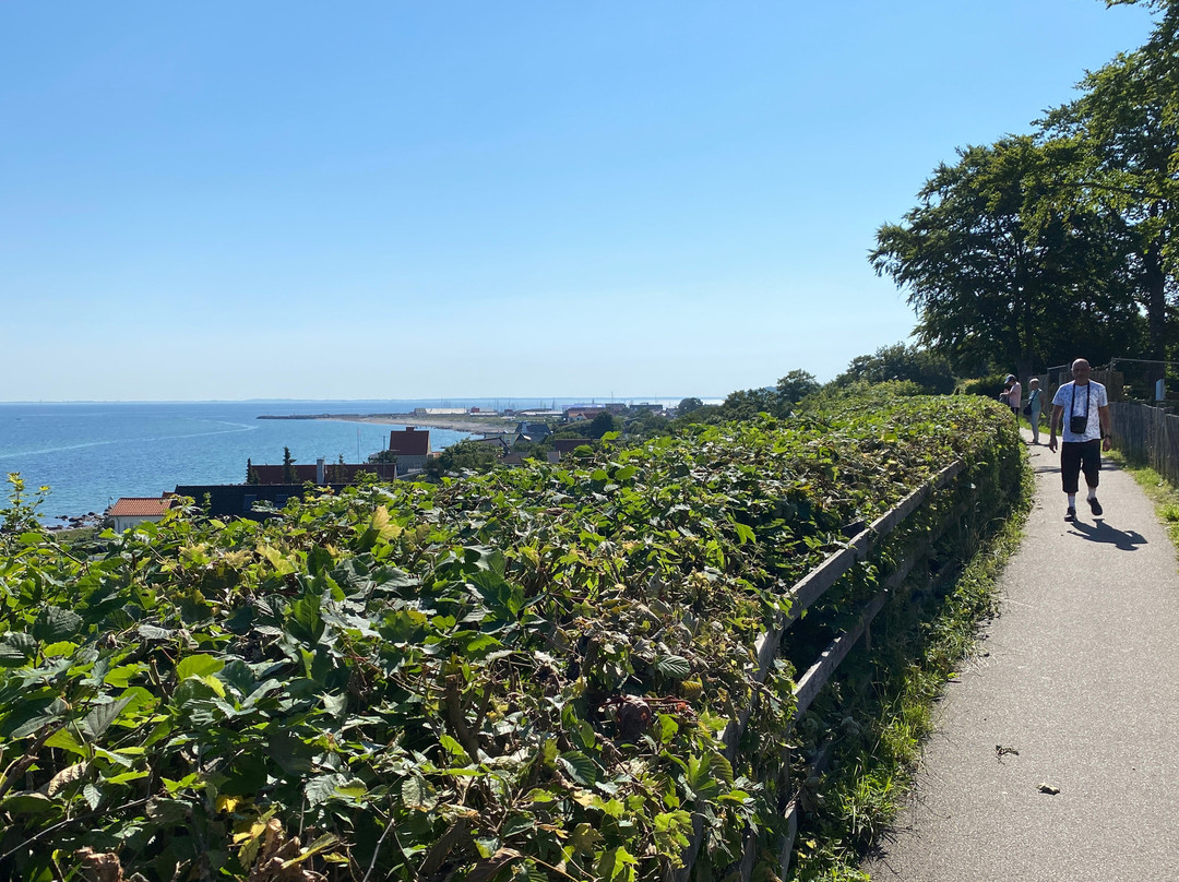 Gilleleje Bed & Breakfast - Høveltegård主图