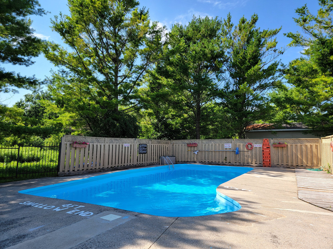 Super 8 by Wyndham Kingston主图