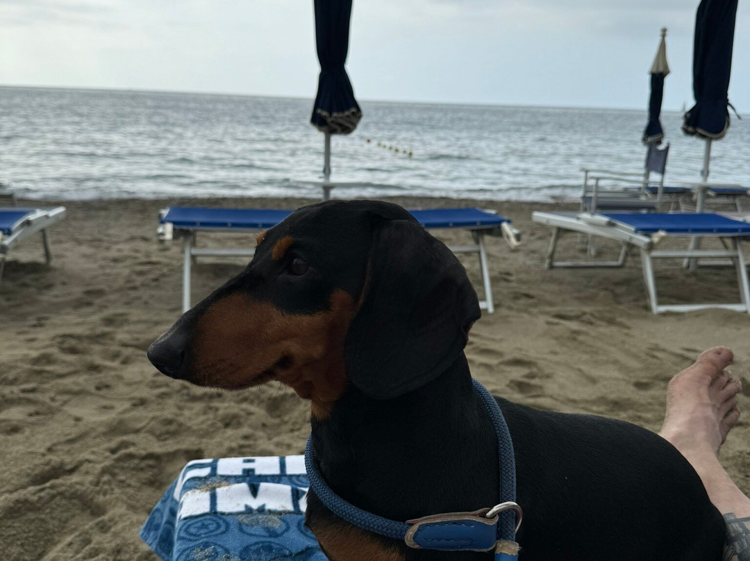 Spiaggia Ex Soggiorno Leonessa-彼得拉－利古雷必去景点