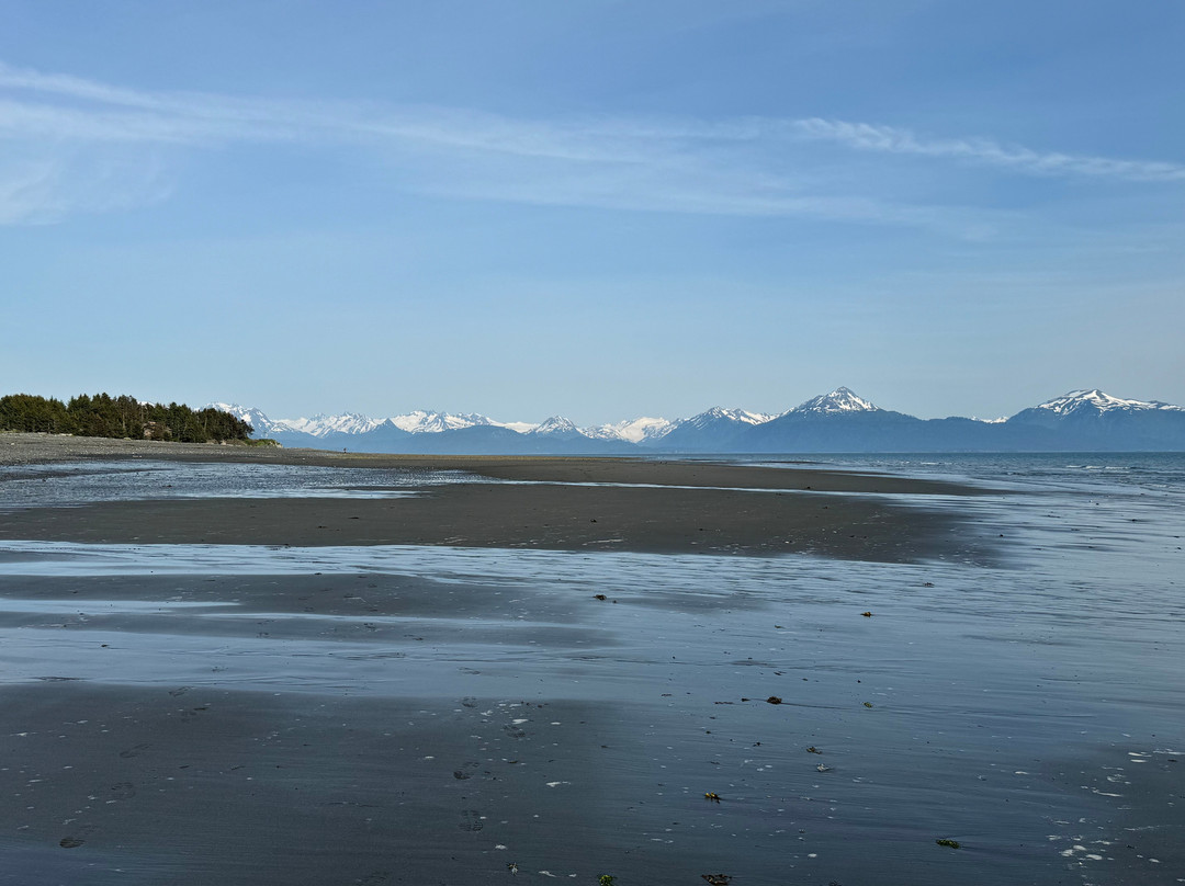 Bishop's Beach Park-荷马必去景点