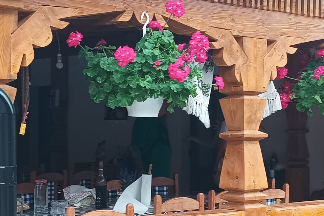 Casa Pintea de Sub Coasta主图