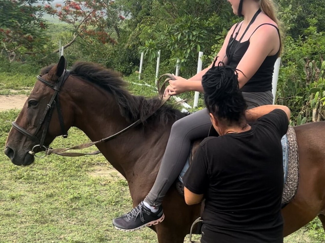 Jah Works Riding Stables-布里奇顿必去景点