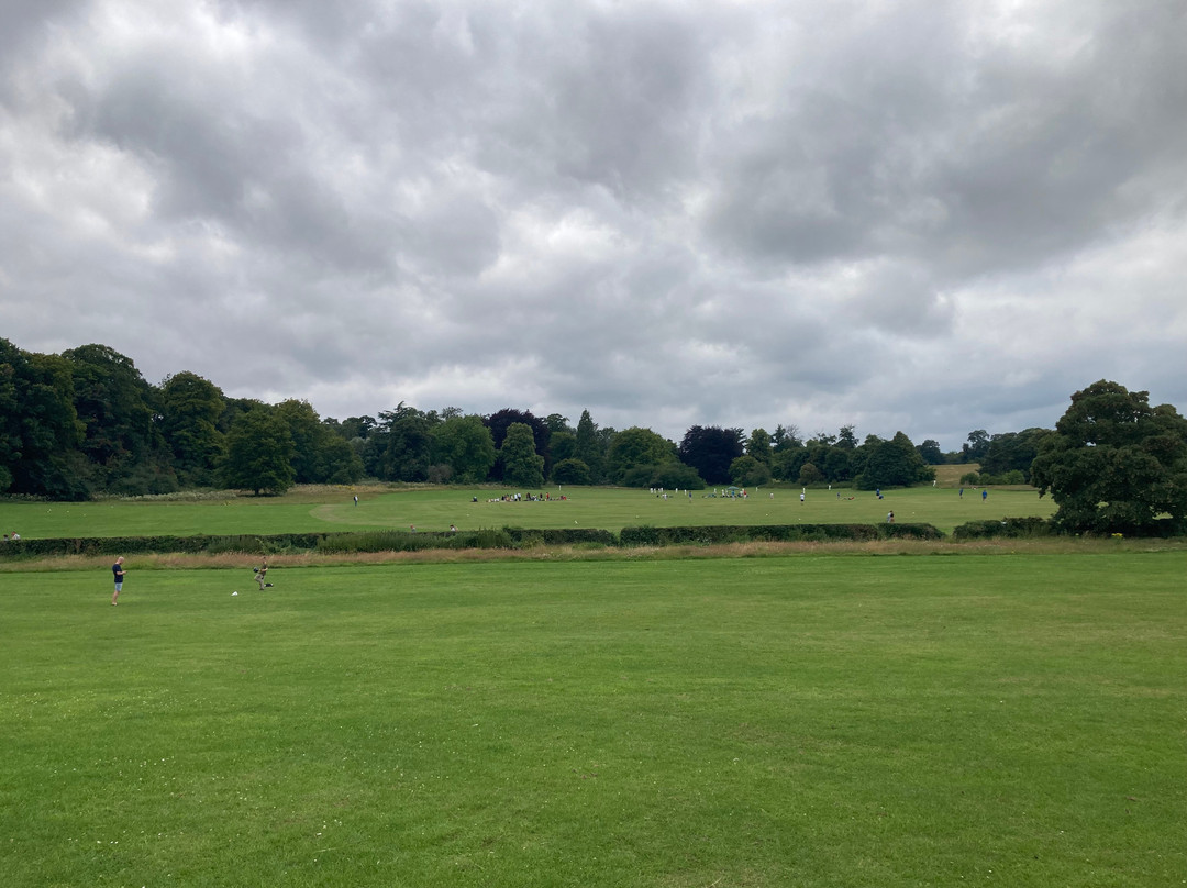 Verulamium Park景点图片