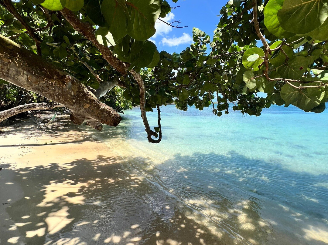 Half Moon Bay-内格里尔必去景点