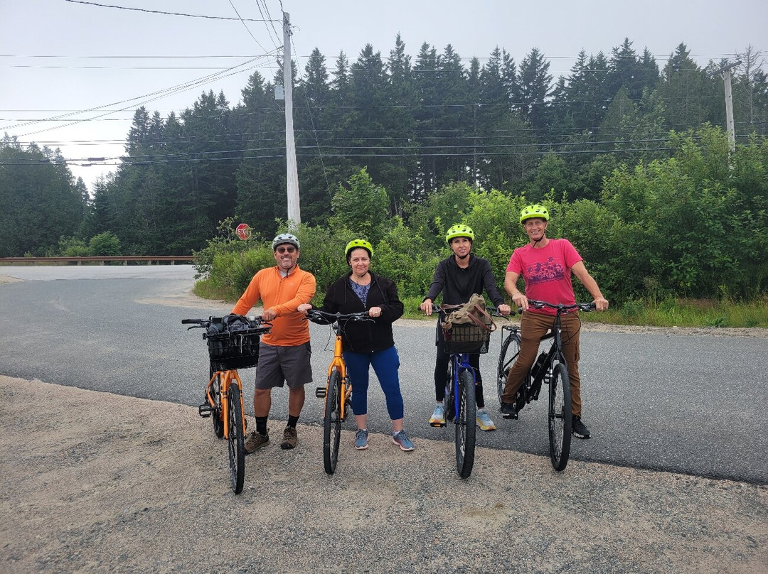 Sea Schoodic Kayak & Bike景点图片