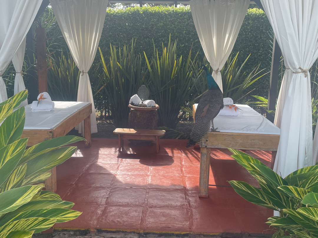 Hotel Campestre Cafe Cafe主图