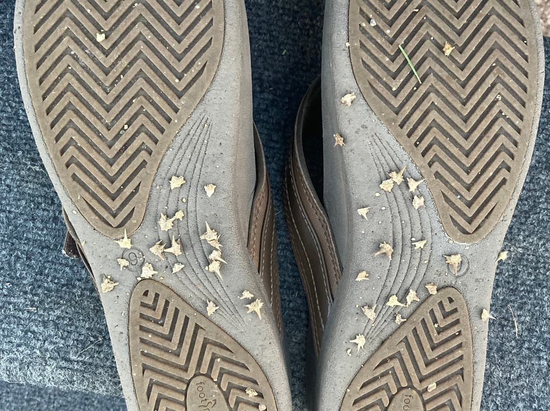 Santa Rosa Lake State Park-圣罗莎必去景点