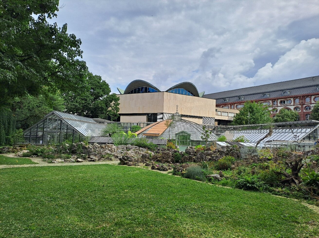 Botanischen Garten der Universität Basel-巴塞尔必去景点