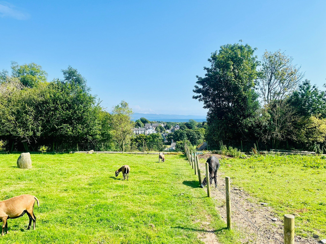 Dwyfor Ranch Rabbit Farm and Animal Park-Llanystumdwy必去景点