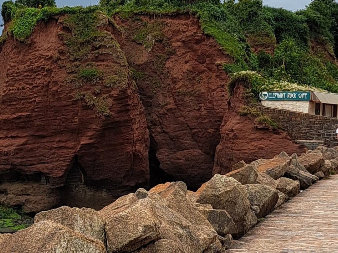 Dawlish To Dawlish Warren-道利什必去景点