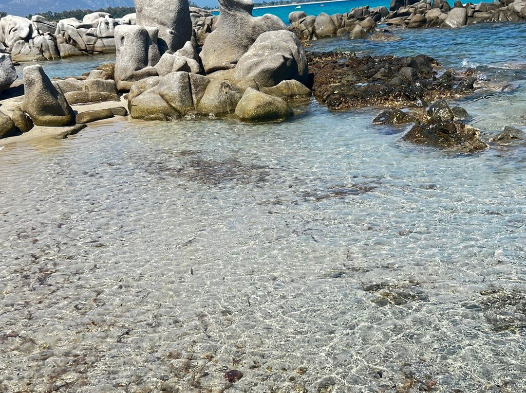 Spiaggia di Milanesi-Tortoli必去景点