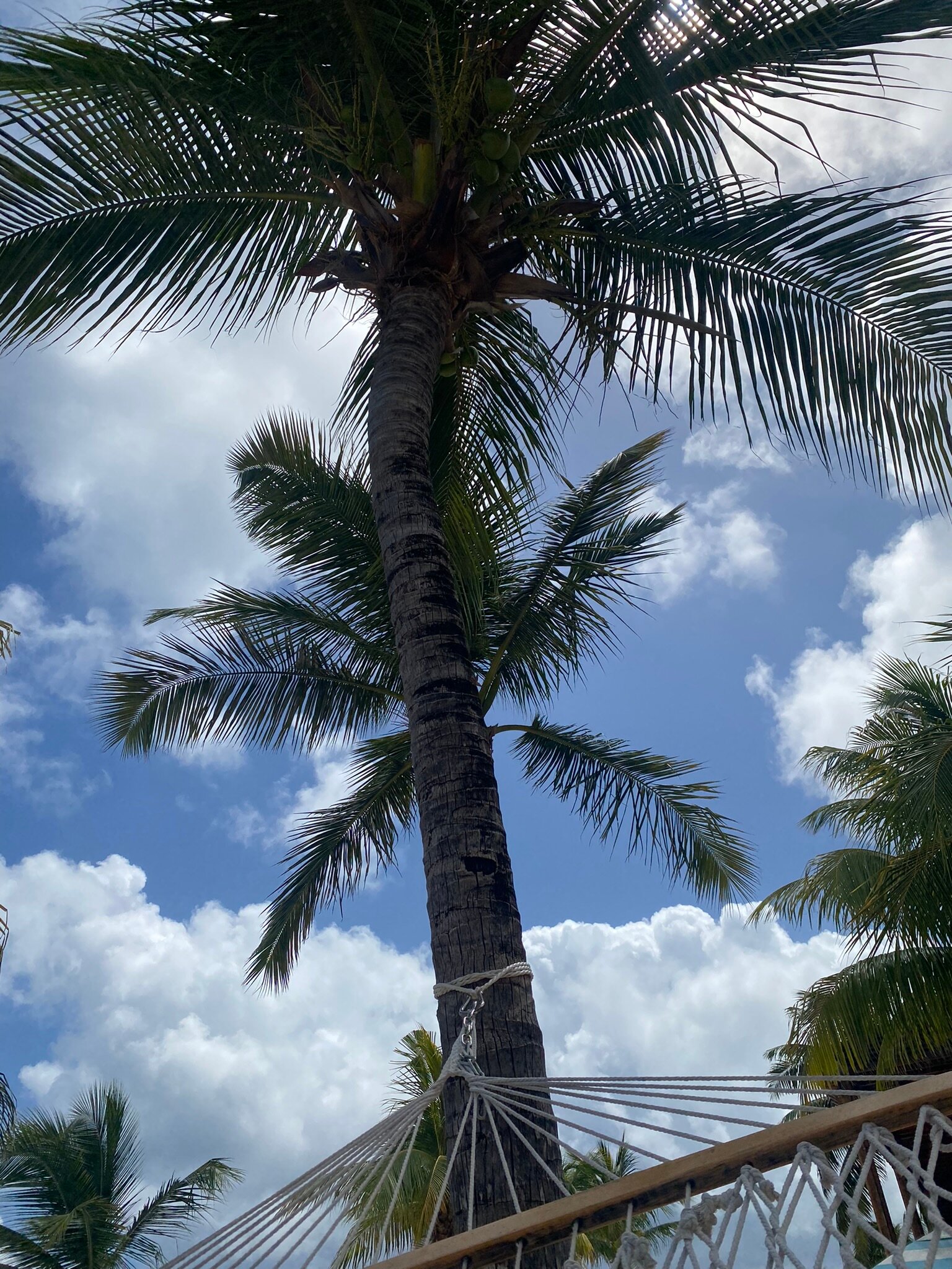 Zemi Beach House, LXR Hotels & Resorts-泳池