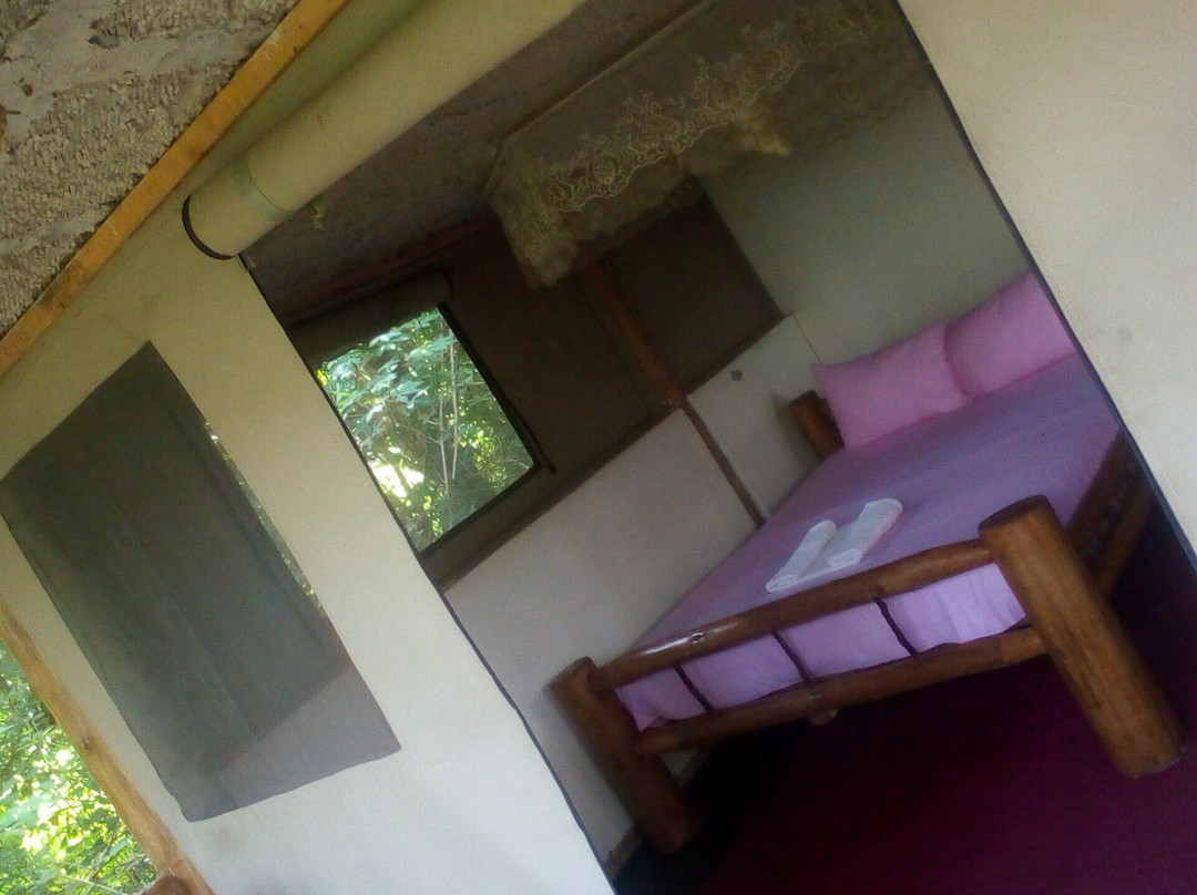Kibale Chimps Villas Lodge