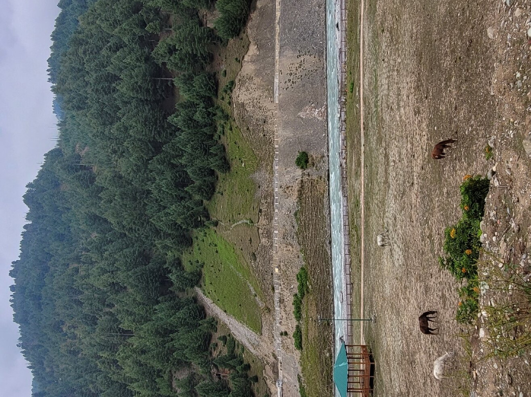 Lemon Tree Hotel, Sonamarg主图