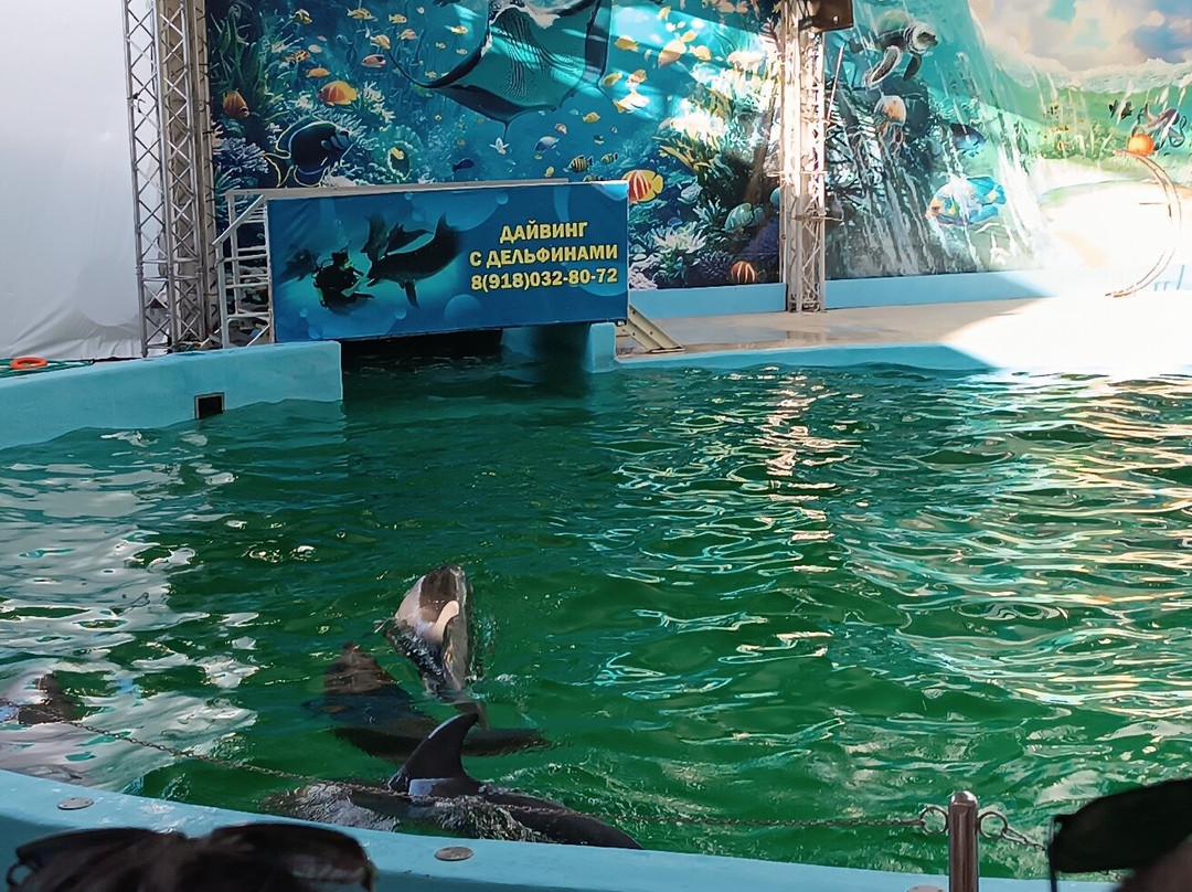 Anapa Dolphinarium (Nemo)景点图片