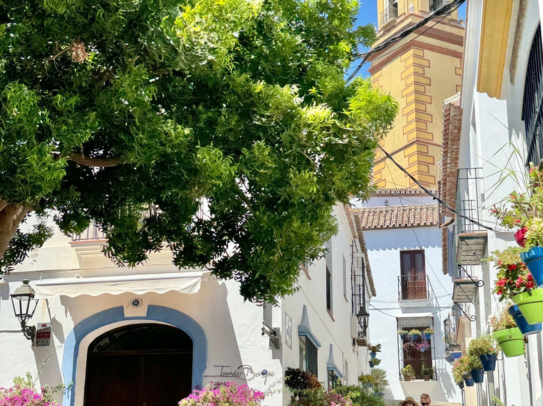 The Estepona Old Quarter Casco Antiguo景点图片