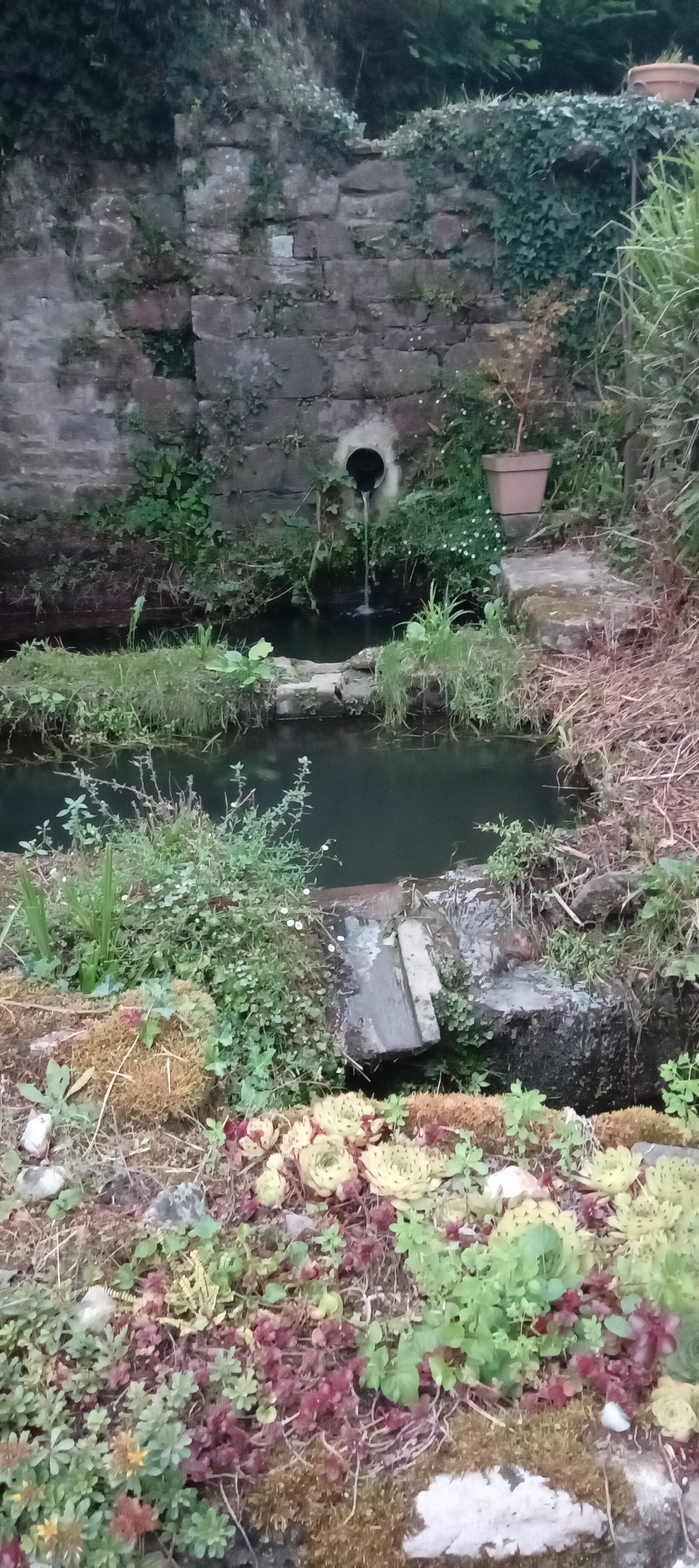 Le Logis du Jerzual-官方