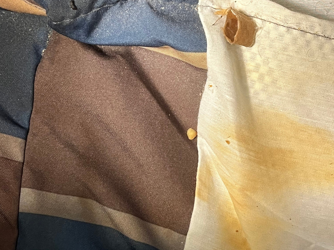 Home2 Suites by Hilton Parc Lafayette主图