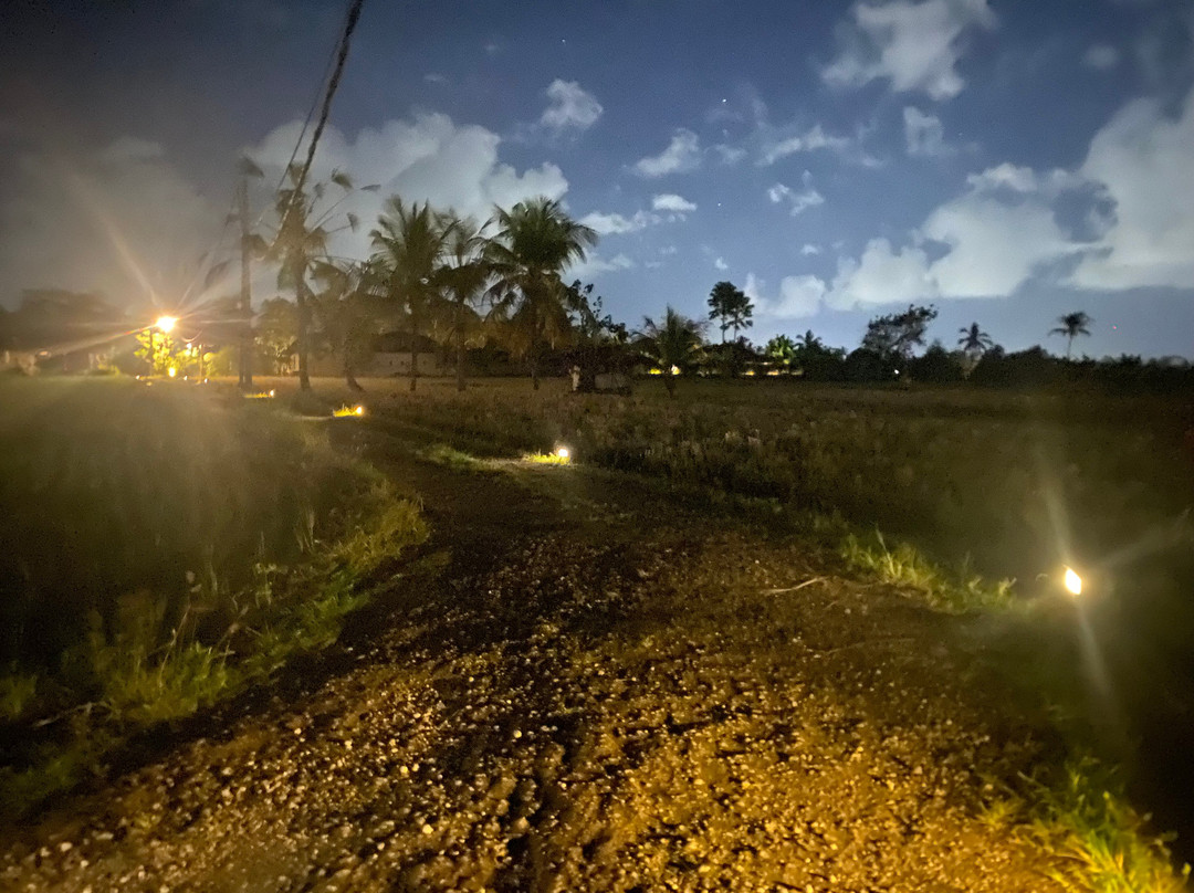 Paon Desa Ubud Hotel主图