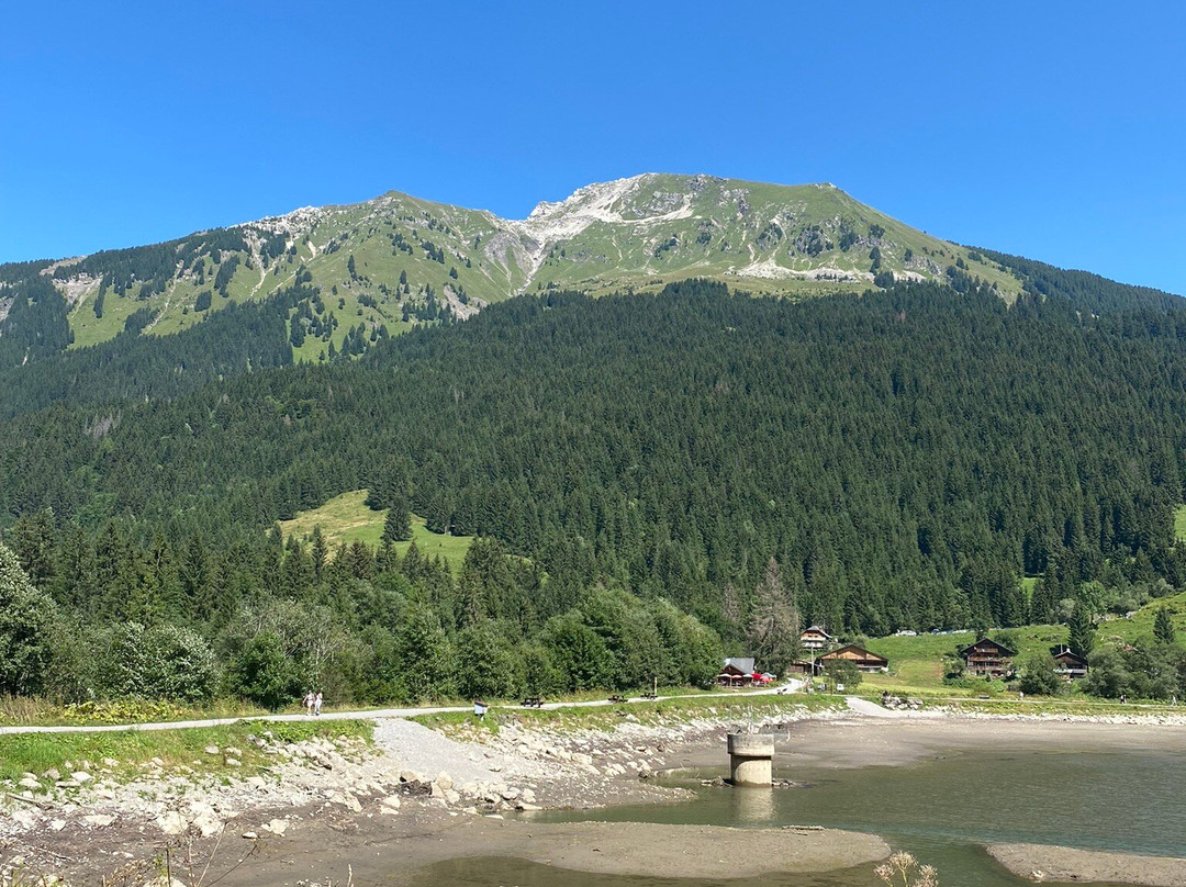 Lac des Plagnes景点图片