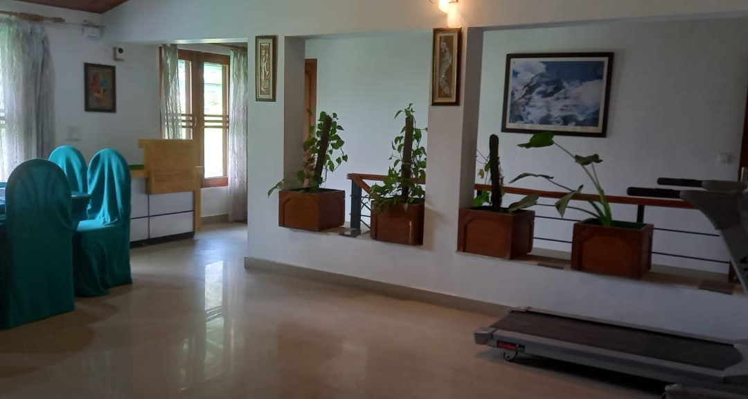 Experto The Greens主图