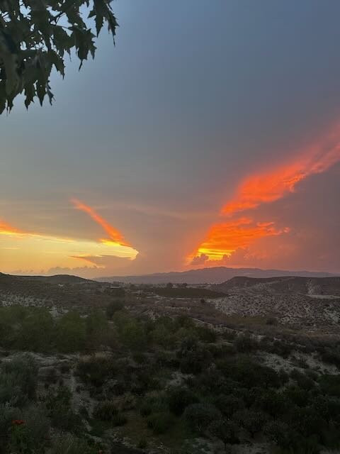 Boutique Hotel Cortijo El Sarmiento主图