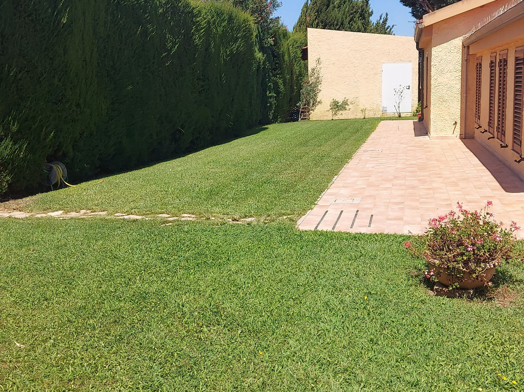 B&B Bonsai Alghero主图