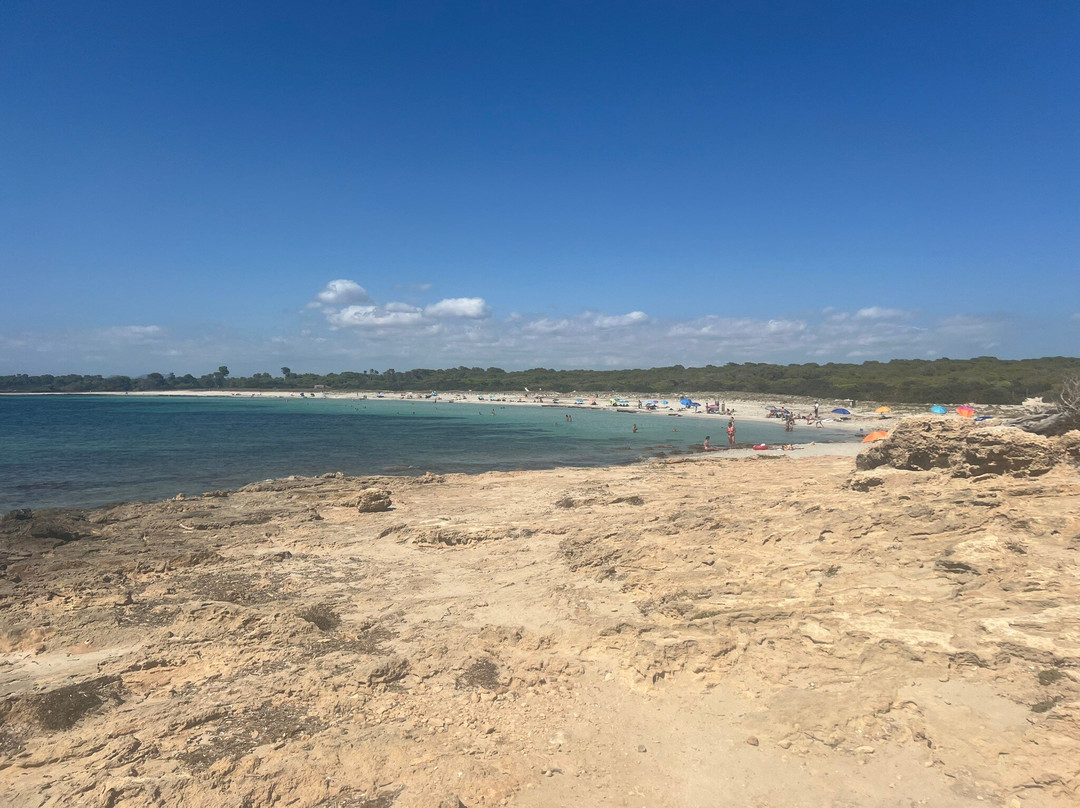 Platja Es Caragol-桑塔尼必去景点