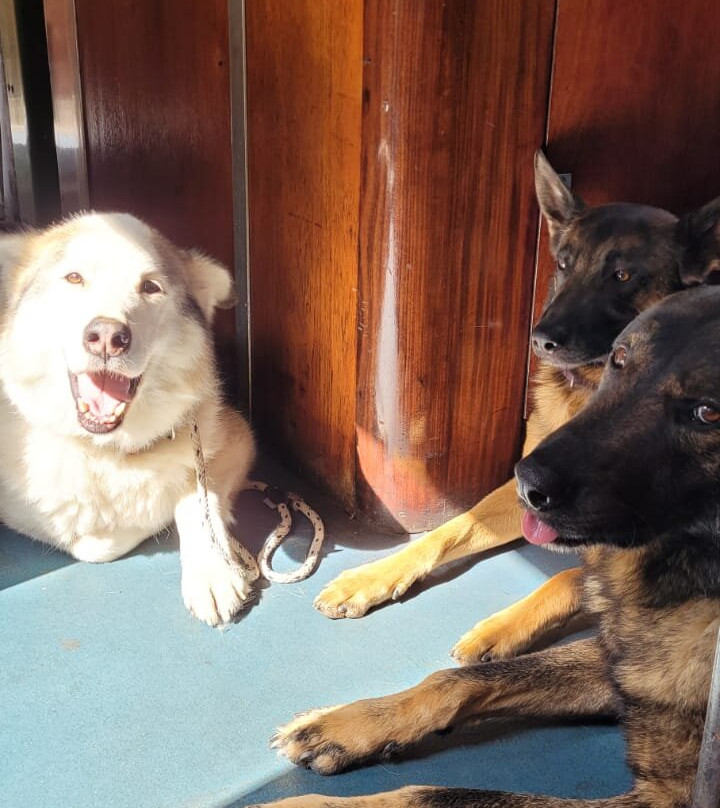 The Wensleydale Spirit Company-莱伯恩必去景点