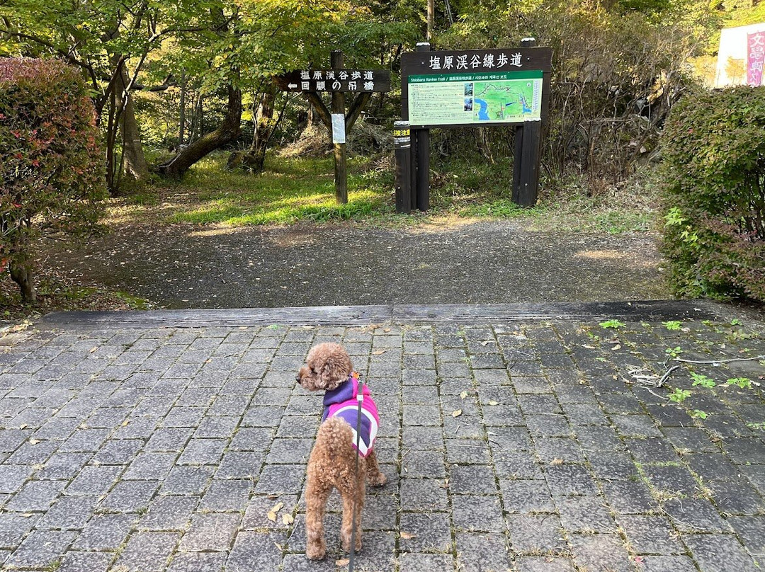 Shiobara Ravine Trail-那须盐原市必去景点