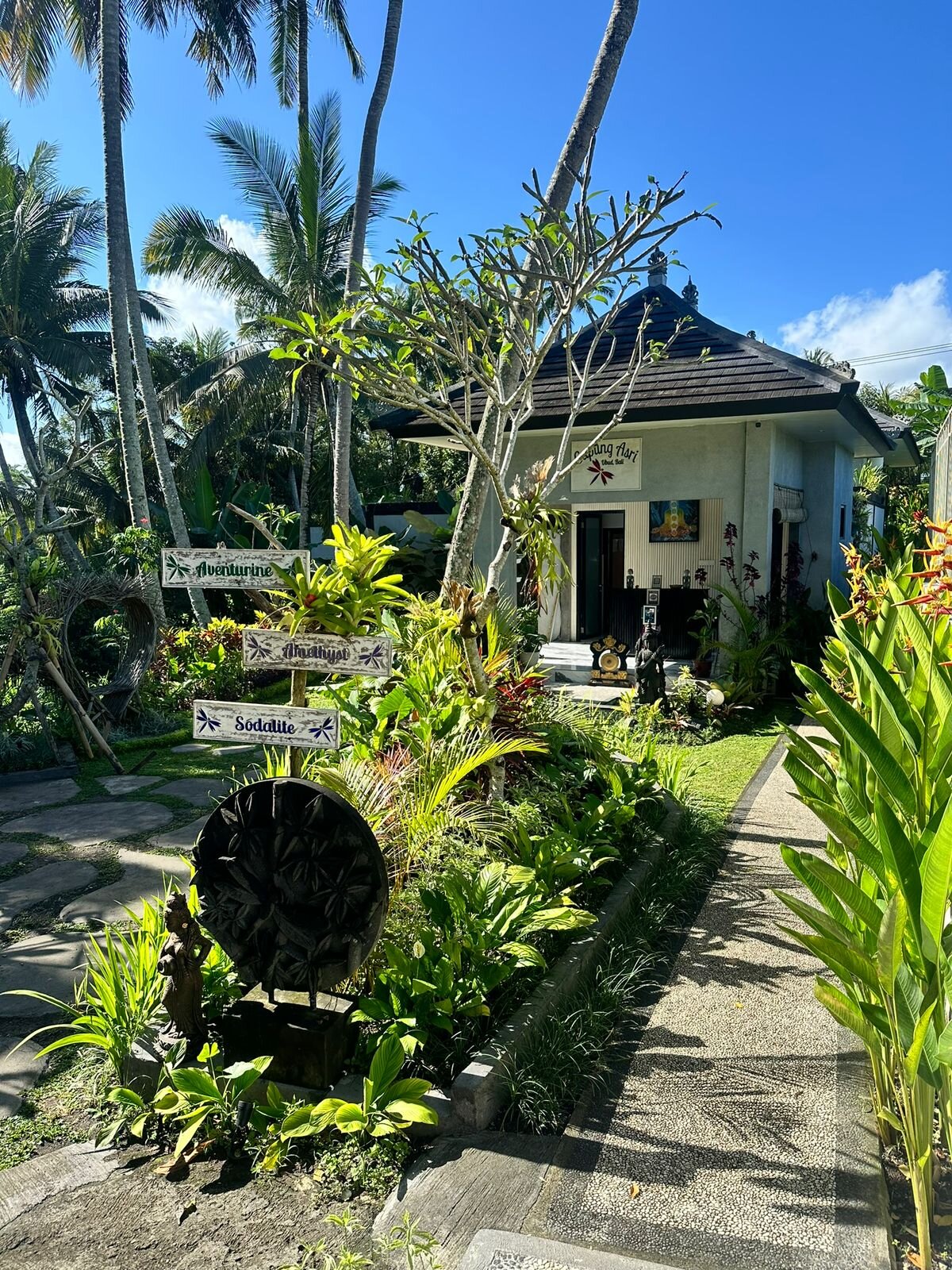 Capung Asri Eco Luxury Resort-浴室