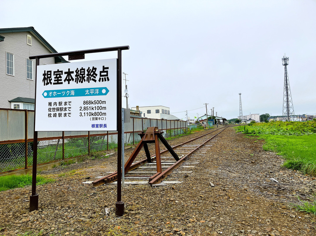 Nemuro Station-根室市必去景点