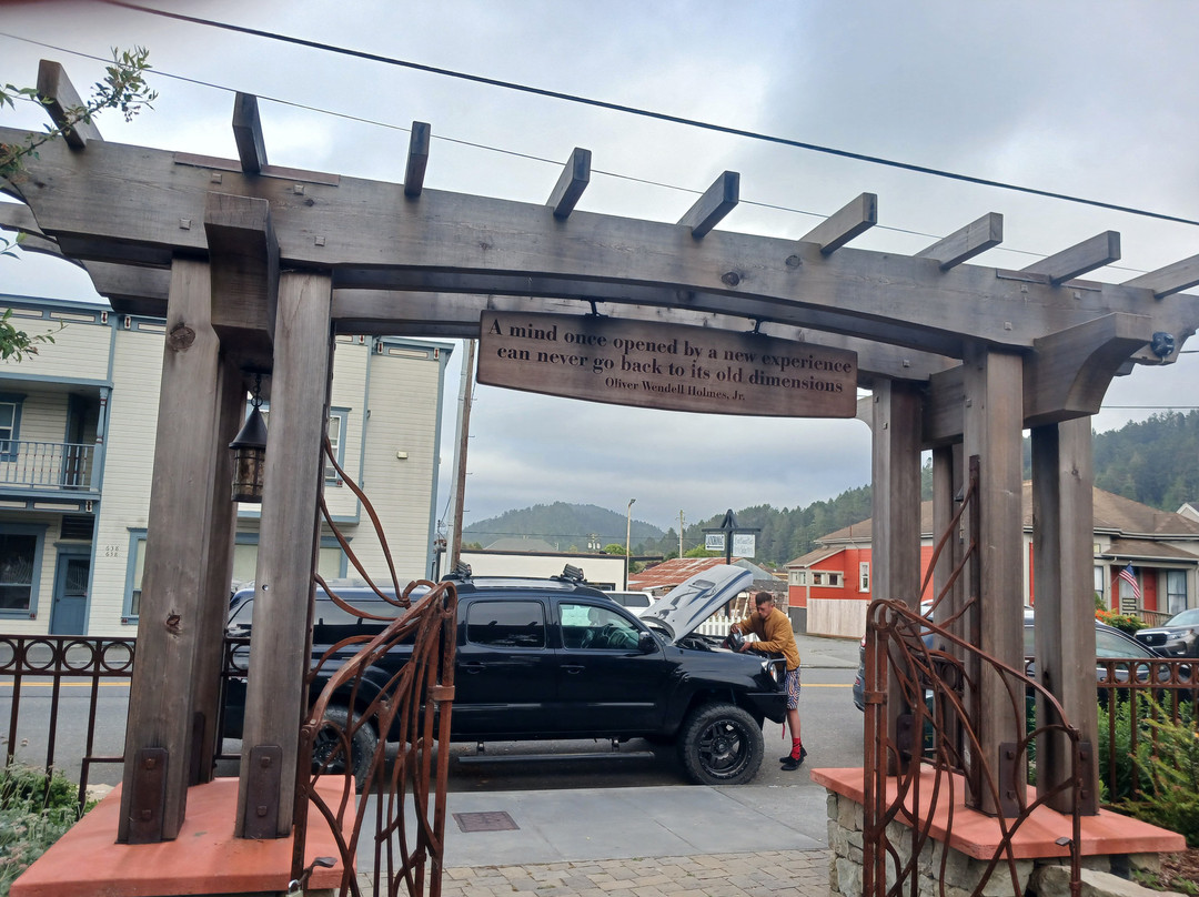 Hadley Gardens-Ferndale必去景点