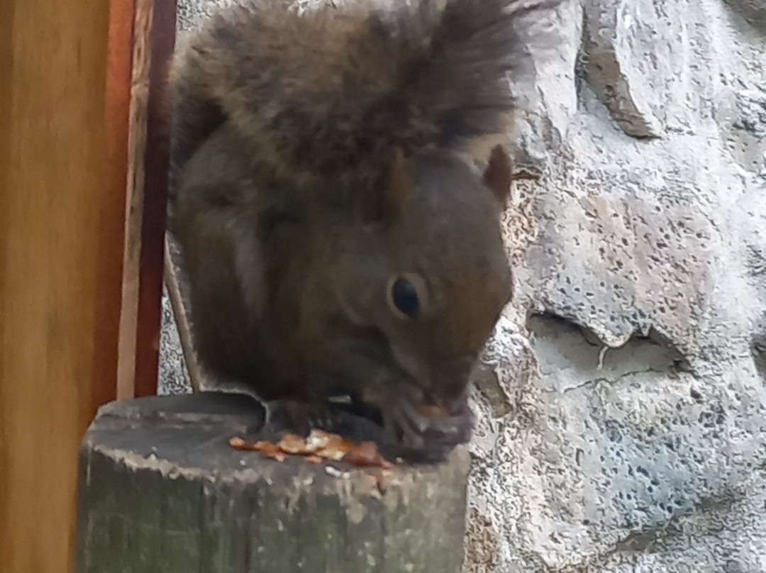 Parque Estadual de Ilhabela-伊利亚贝拉必去景点