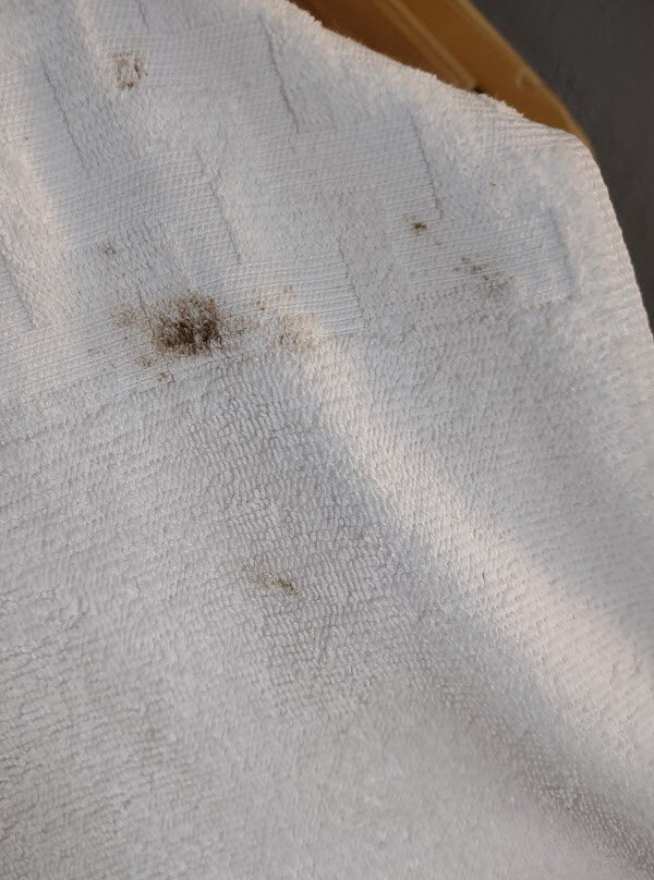 Best Western Corpus Christi Airport Hotel主图