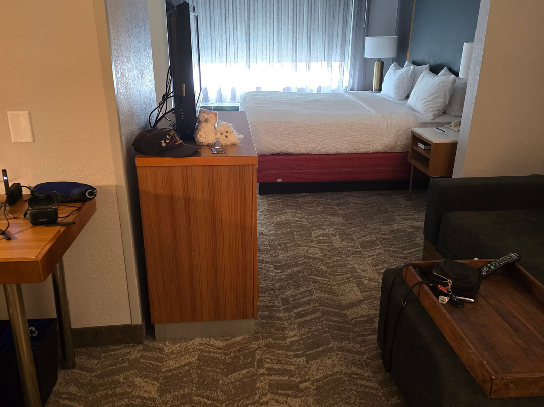 SpringHill Suites by Marriott Providence West Warwick主图