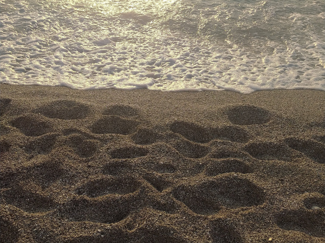 Kathisma Beach景点图片